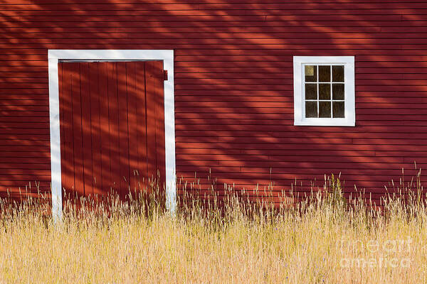 Summer Art Print featuring the photograph Summer Barn Shadows by Alan L Graham