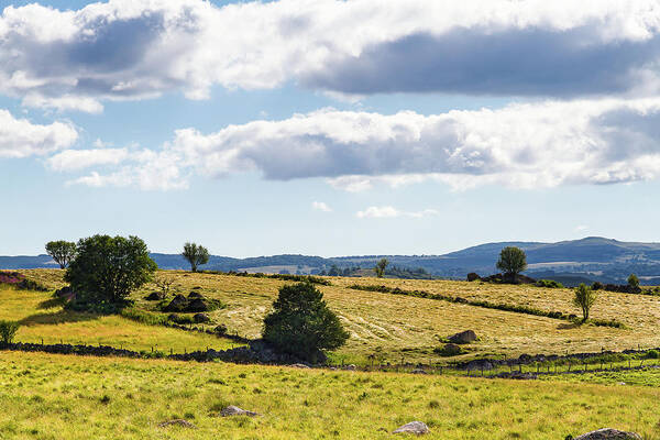 Agricultural Landscape Art Print featuring the photograph Summer in Aubrac # XI - France by Paul MAURICE