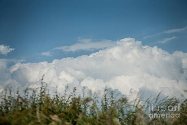 Blue Art Print featuring the photograph Summer Sky by Jan Bickerton