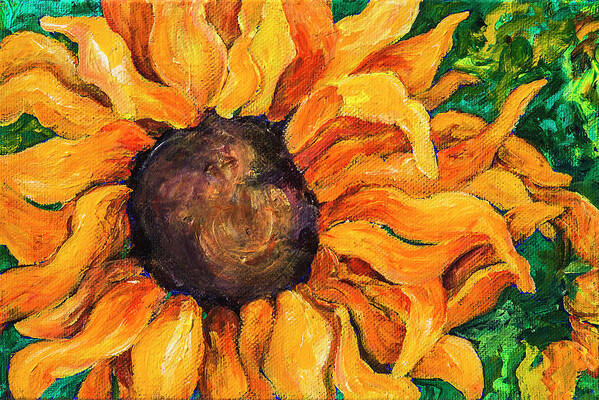 Sunflower Art Print featuring the painting Sunflower #5 by Sally Quillin