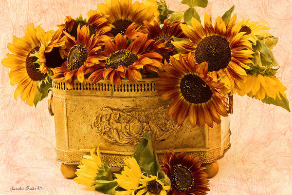 Sunflowers Art Print featuring the photograph Sunflowers Galore by Sandra Foster