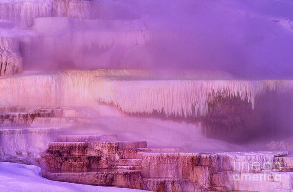 North America Art Print featuring the photograph Sunrise at Minerva Springs Yellowstone National Park by Dave Welling
