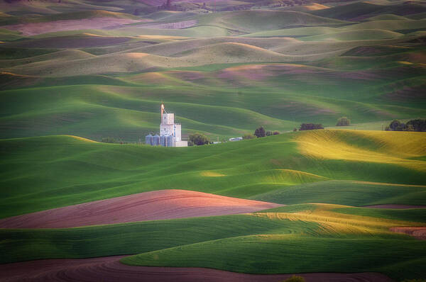 Agriculture Art Print featuring the photograph Sunrise from Steptoe butte. by Usha Peddamatham