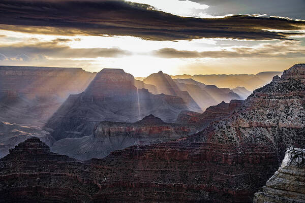 Grand Canyon Art Print featuring the photograph Sunrise Grand Canyon by Phil Abrams