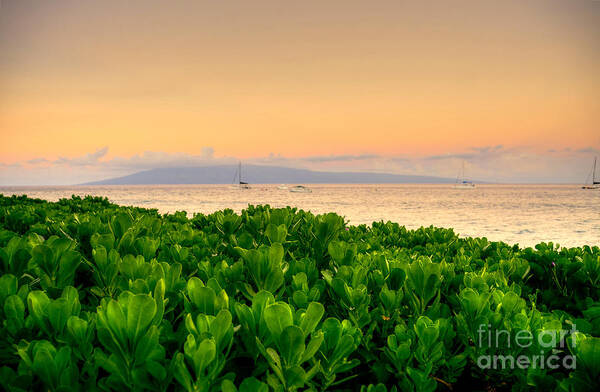 Sunrise Art Print featuring the photograph Sunrise On Maui by Kelly Wade