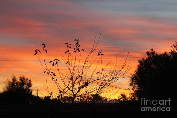 Sunrise Art Print featuring the photograph Sunrise by Sheri Simmons