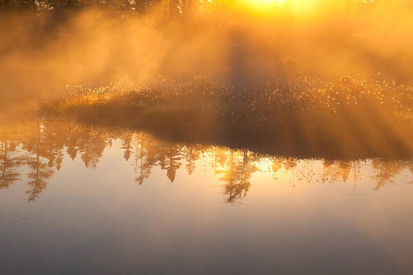 Blue Mountain- Birch Cove Lakes Wilderness Art Print featuring the photograph Sunrise Through Pond Mists by Irwin Barrett