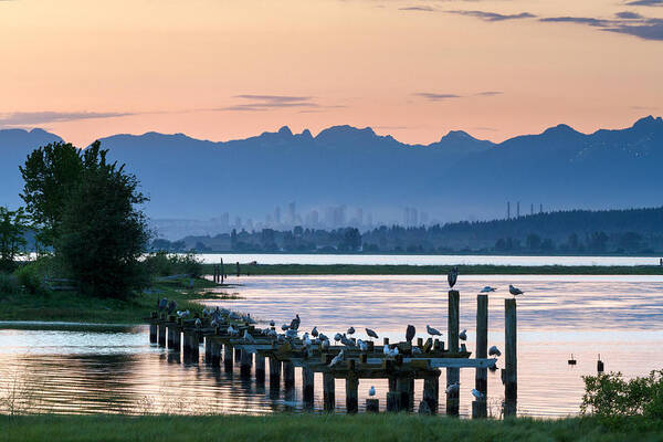 Boundary Bay Art Print featuring the photograph Sunset at Blackie Spit by Michael Russell