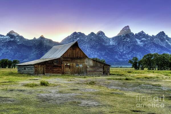 Tetons Art Print featuring the photograph Sunset at Mormon Row by Roxie Crouch