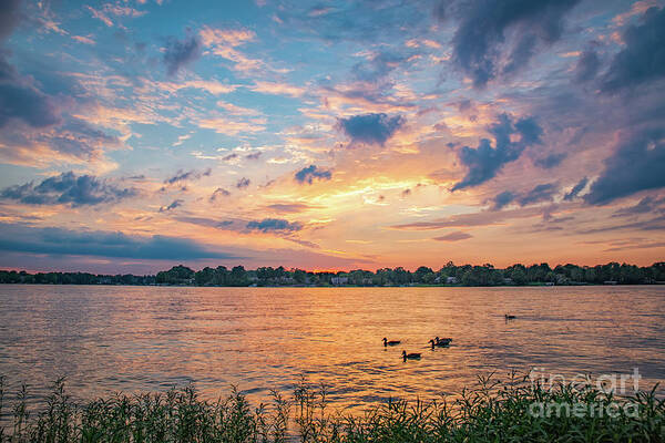 Morse Lake Art Print featuring the photograph Sunset at Morse Lake by Sophie Doell