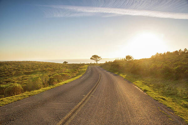 Point Reyes Beach Art Print featuring the photograph Sunset at Point Reyes by Kunal Mehra