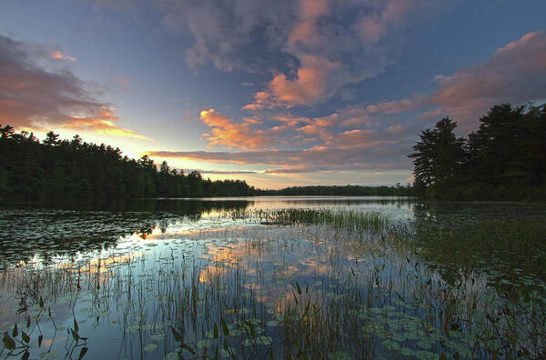Somes Pond Art Print featuring the photograph Sunset at Somes Pond by Juergen Roth
