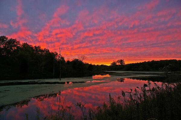 Scott County Ky Art Print featuring the photograph Sunset at the pond by Ulrich Burkhalter