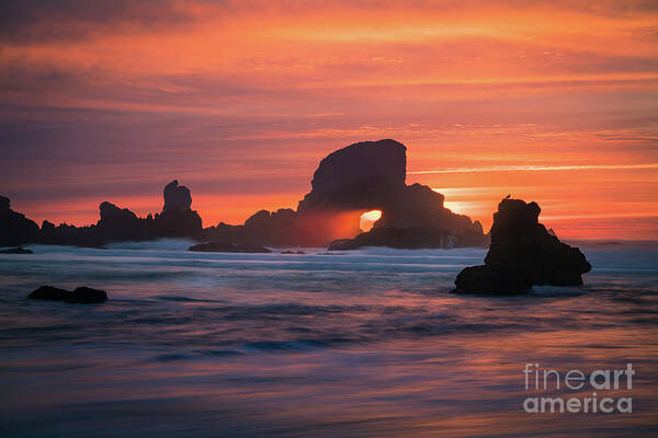 America Art Print featuring the photograph Sunset behind arch at Oregon coast USA by William Lee