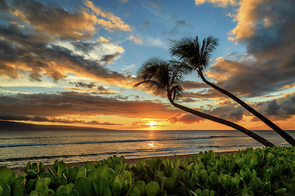 Sunset Art Print featuring the photograph Sunset In Kaanapali by James Eddy