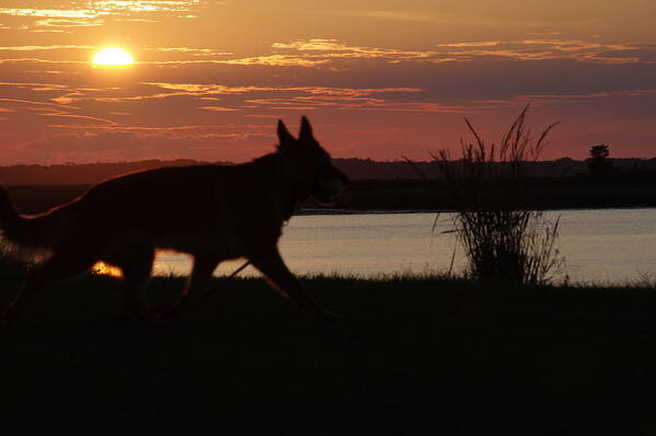 Wildwood Crest Art Print featuring the photograph Sunset Lake by Greg Graham