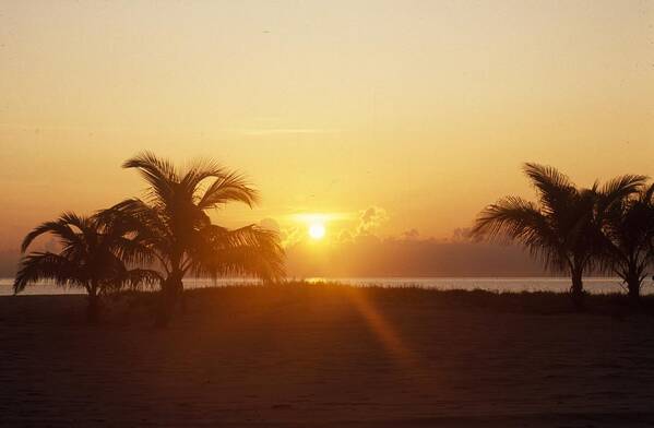 Clouds Art Print featuring the photograph Sunset On Beach With Palm Trees by Gillham Studios