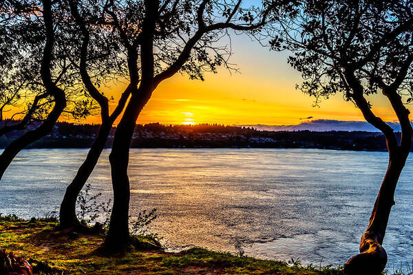 Puget Art Print featuring the photograph Sunset on Tacoma Narrows by Rob Green