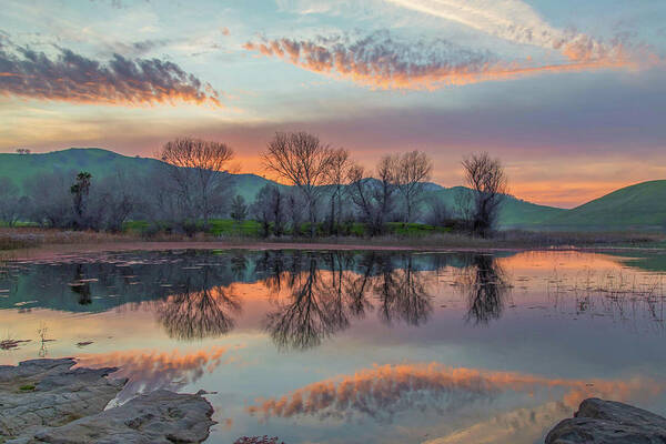 Landscape Art Print featuring the photograph Sunset Reflection by Marc Crumpler