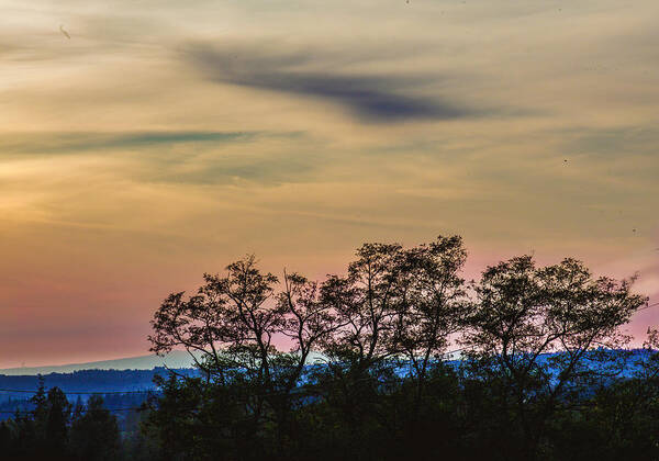 Lynden Art Print featuring the photograph Sunset Silhouette by Judy Wright Lott