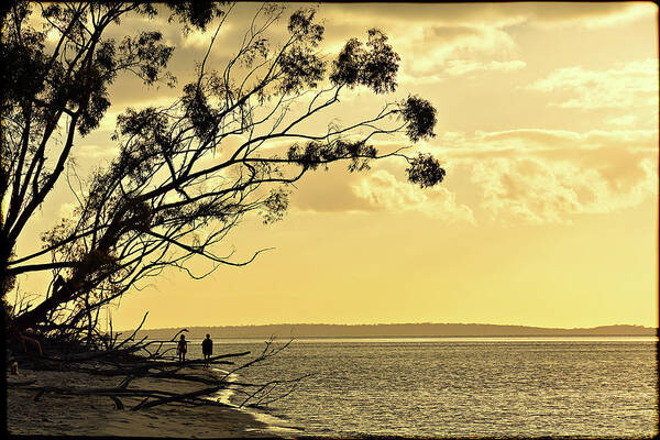 Fraser Island Art Print featuring the photograph Sunset walk by Andrei SKY