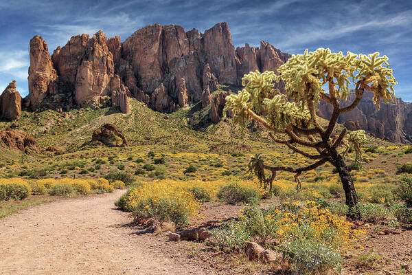 Superstition Mountains Art Print featuring the photograph Superstition Mountain Cholla by James Eddy