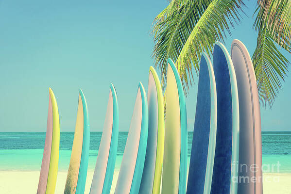 Surfboard Art Print featuring the photograph Row of surfboards, vintage surf by Delphimages Photo Creations