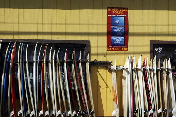  Art Print featuring the photograph Surfboard Selection by Kenneth Campbell