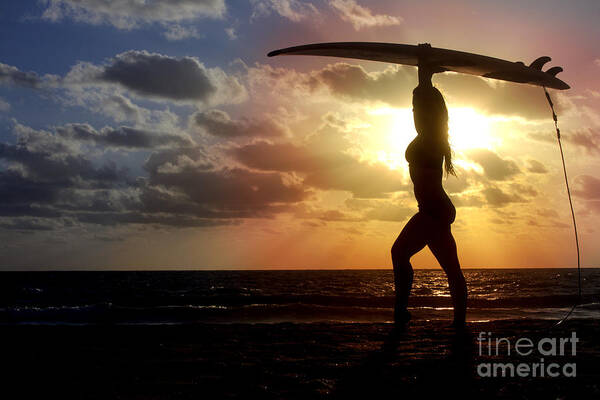 Silhouette Art Print featuring the photograph Surfing Silhouette by Anthony Totah