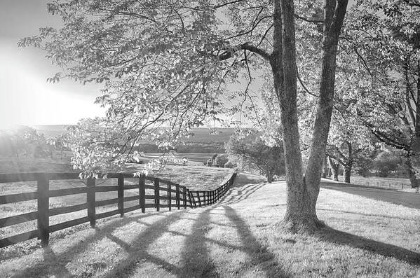 New Jersey Art Print featuring the photograph Sussex County Sunset in Black and White by Eleanor Bortnick