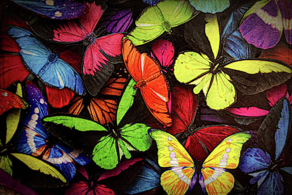 Butterflies Art Print featuring the painting Swarm of Butterfles by Sandi OReilly