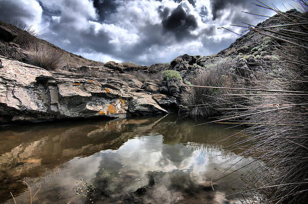 Nature Art Print featuring the photograph Sweet water pond under stormy clouds by Pedro Cardona Llambias