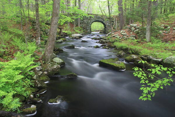 Keystone Bridge Art Print featuring the photograph Swift River and Keystone Bridge Quabbin Reservoir by John Burk