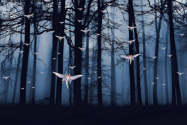 Fairy Art Print featuring the digital art Synchronous Fairies Fly by John Haldane