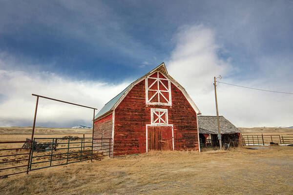 Red Art Print featuring the photograph Tabacco Root Red by Todd Klassy