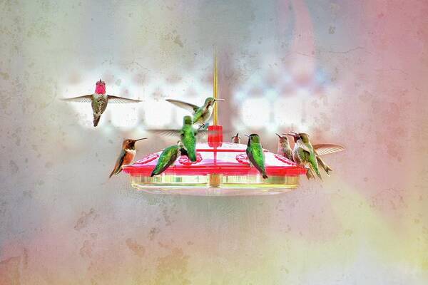 Hummingbirds Art Print featuring the photograph Table For Twelve in Pastels by Lynn Bauer