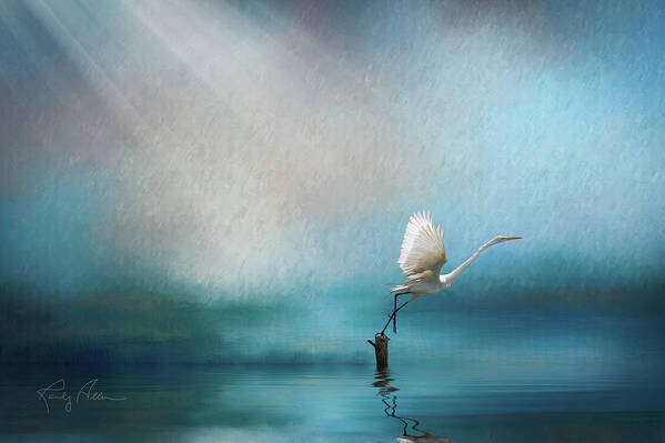 Great Egret Art Print featuring the photograph Taking Flight by Randall Allen