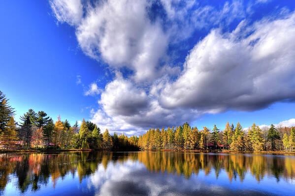 Hdr Art Print featuring the photograph Tamarack Reflections in the Adirondacks by David Patterson
