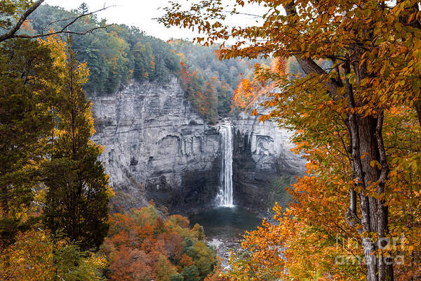 Water Art Print featuring the photograph Taughannock Autumn by William Norton