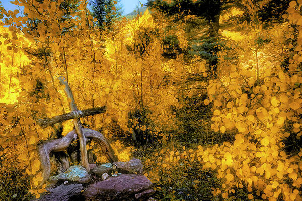 Cross Art Print featuring the photograph Telluride Spirituality - Colorado - Autumn Aspens by Jason Politte