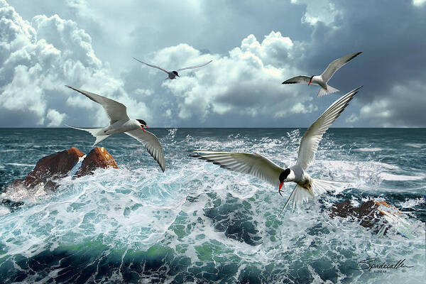Ocean Art Print featuring the digital art Terns In The Surf by Spadecaller