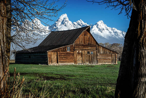 Tetons Art Print featuring the photograph Moulton Barn and Tetons by Scott Read