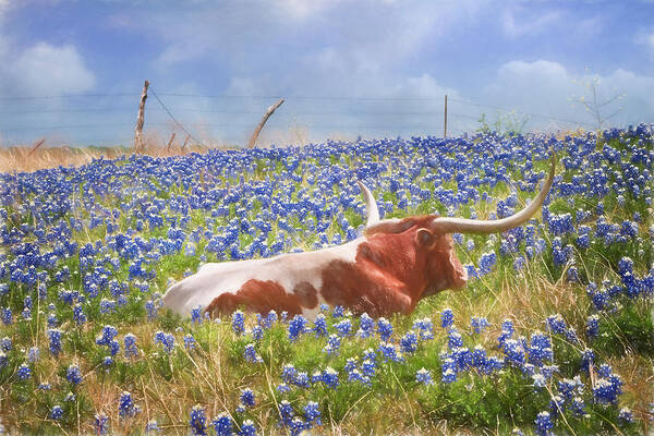 Animals Art Print featuring the photograph Texas Is Longhorns and Bluebonnets by David and Carol Kelly