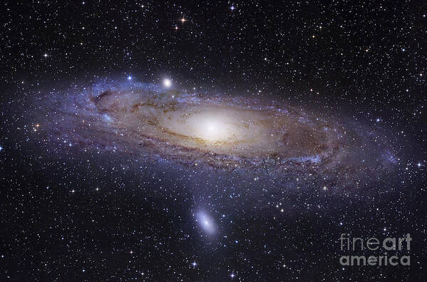 Andromeda Art Print featuring the photograph The Andromeda Galaxy by Robert Gendler