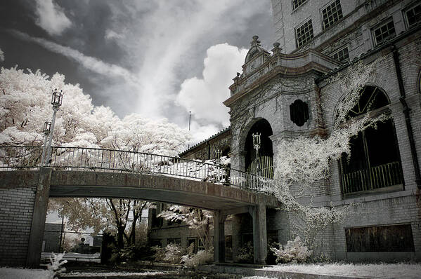 Infrared Art Print featuring the photograph The Baker by Mike Irwin