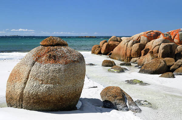 Bay Of Fires Art Print featuring the photograph The Bay of Fires by Nicholas Blackwell
