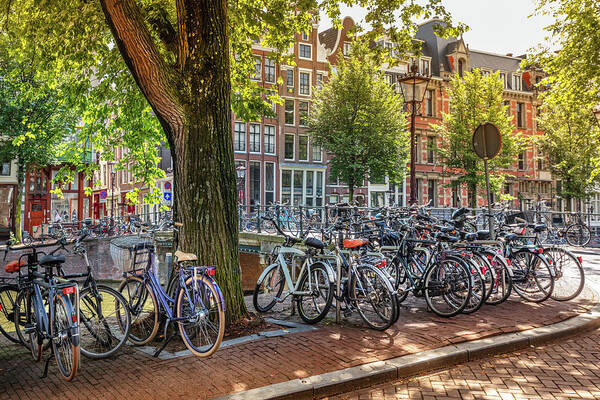Spring Art Print featuring the photograph The Bicycles of Amsterdam by Debra and Dave Vanderlaan