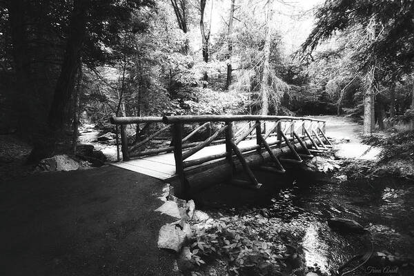 Landscape Art Print featuring the photograph The Bridge Through the Woods in Black and White by Trina Ansel