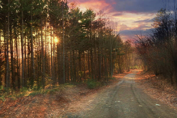 Road Art Print featuring the photograph The Brown Path Before Me by Lori Deiter