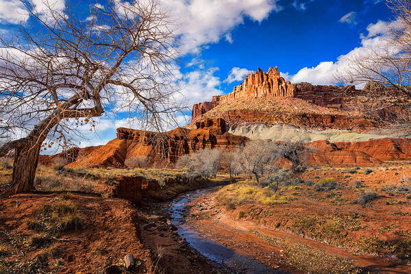 The Castle Art Print featuring the photograph The Castle at Capitol Reef by Dave Koch